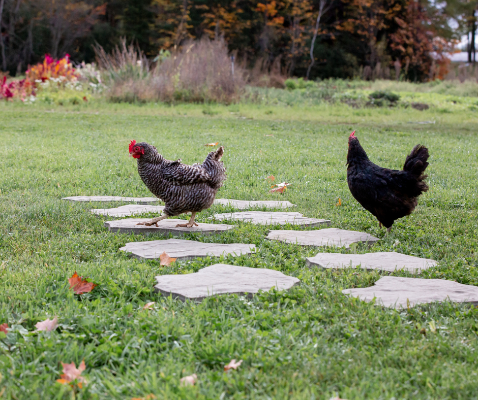 Dalle Ardesia 2.0 (3) Dalle Ardesia 2.0