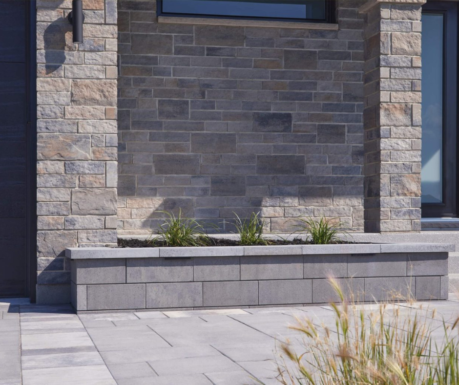 Pierre Cinco Plus (3) Pierre Cinco Plus