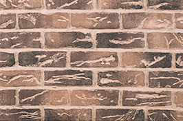 Liner_Standard-Brown-266x176-1